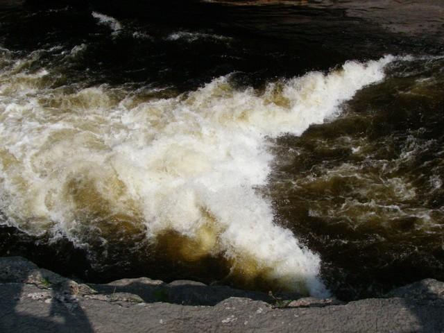 IMGP6269.JPG