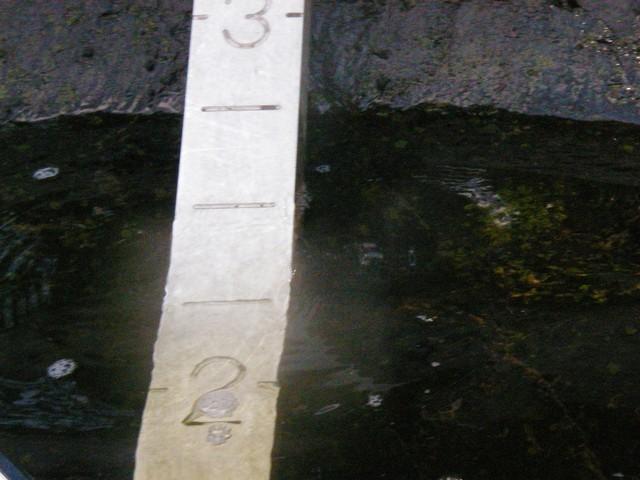 IMGP9534.JPG
