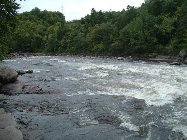 DSCF1438.JPG