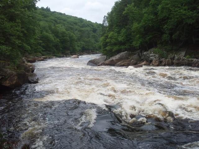 P7190130.JPG