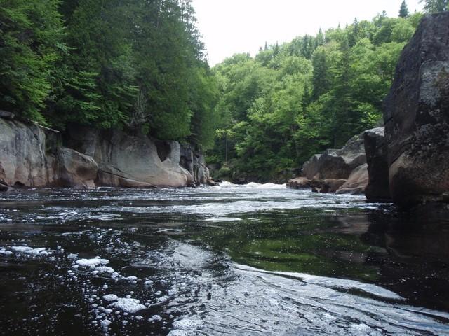 P7190173.JPG