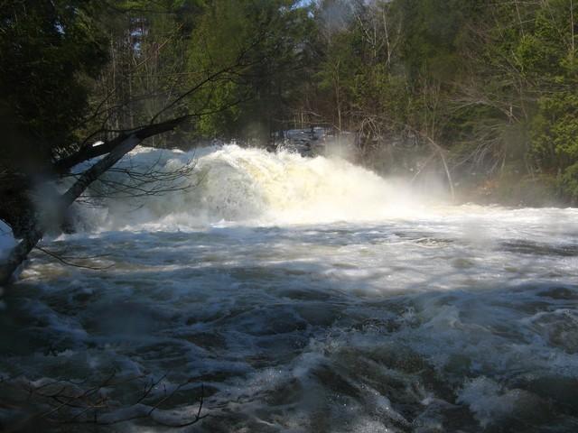 20080421_de_l'Ouest_010.JPG
