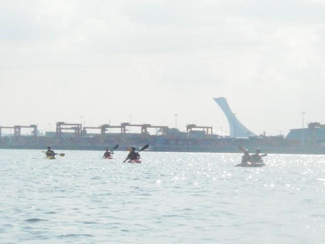 IMGP2898.JPG