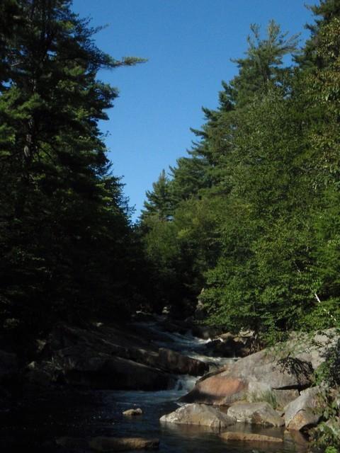 P9040050.JPG