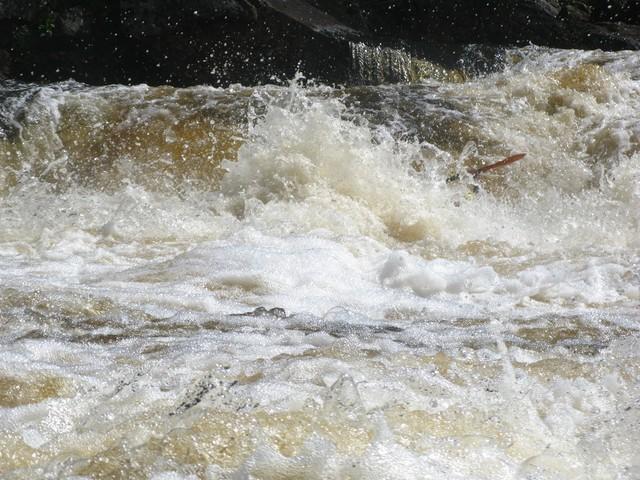 20090812_DesEcorces_011.JPG