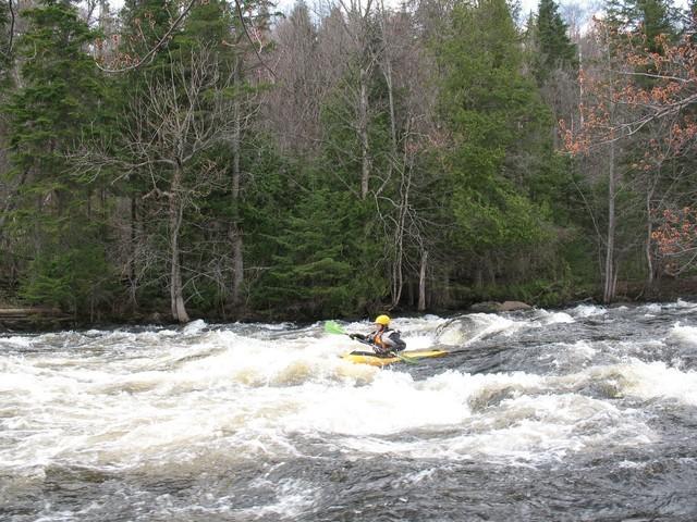 IMG_1896.JPG