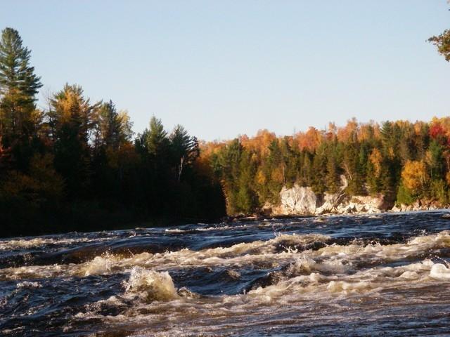 IMGP3243.JPG