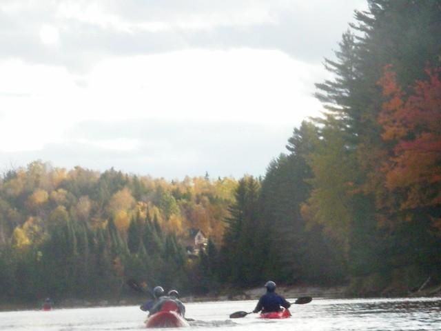 IMGP3277.JPG