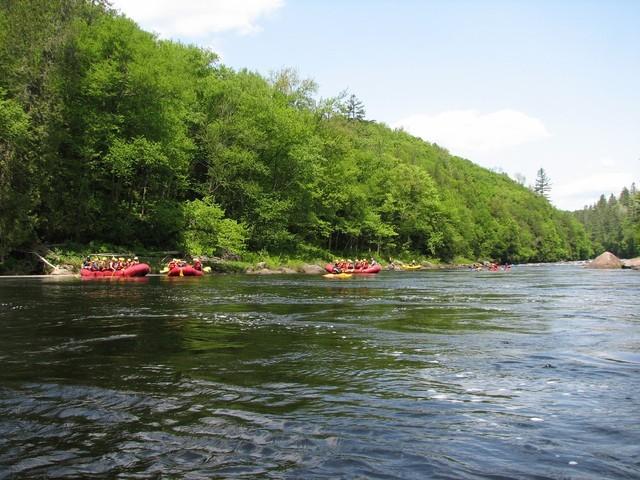 IMG_5044.JPG