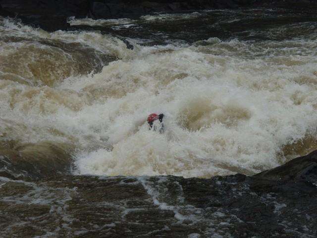 20090711_Jamboree_021.JPG