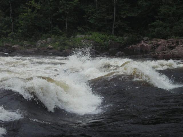 20090711_Jamboree_032.JPG