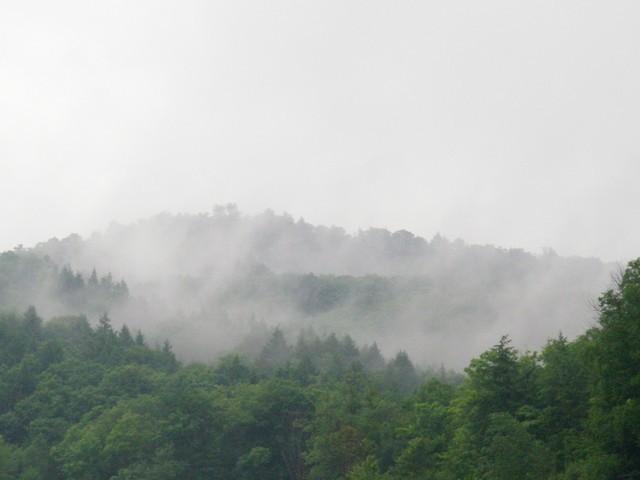 IMGP1818.JPG