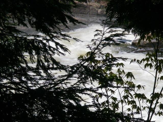 10-Infran1-4.JPG