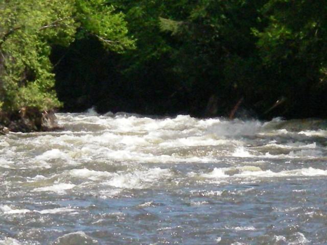 24-IMGP1616.JPG