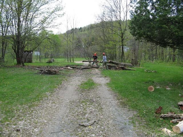 IMG_2020.JPG