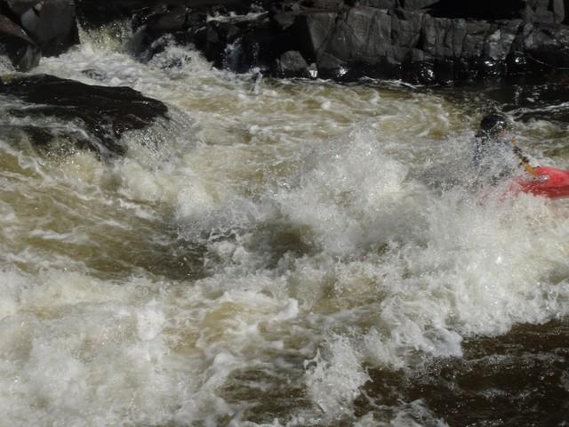 P9190094.JPG