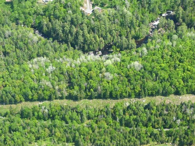 20090605_RivDoncasterAerien_005.JPG