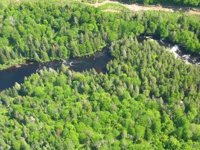 20090605_RivDoncasterAerien_020.JPG