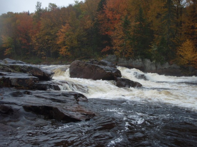 Tewks 3 oct 2009 033.jpg