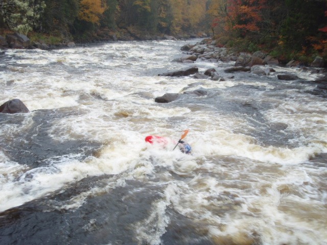 Tewks 3 oct 2009 084.jpg