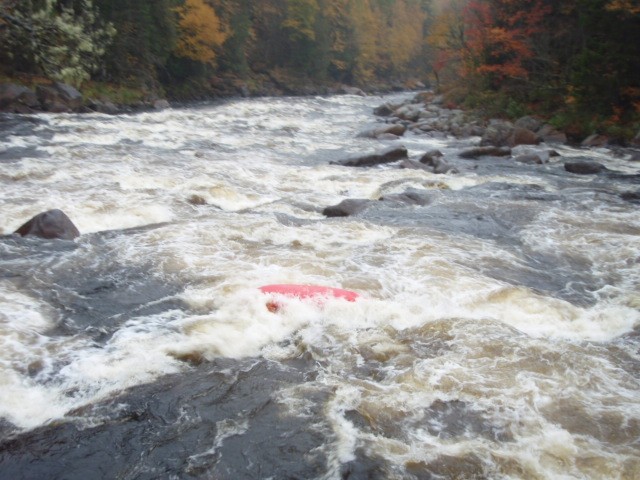 Tewks 3 oct 2009 085.jpg