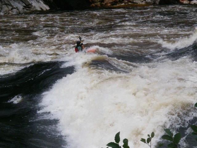 IMGP2995.JPG