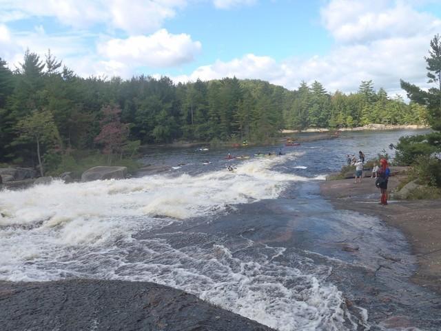 P9040022.jpg