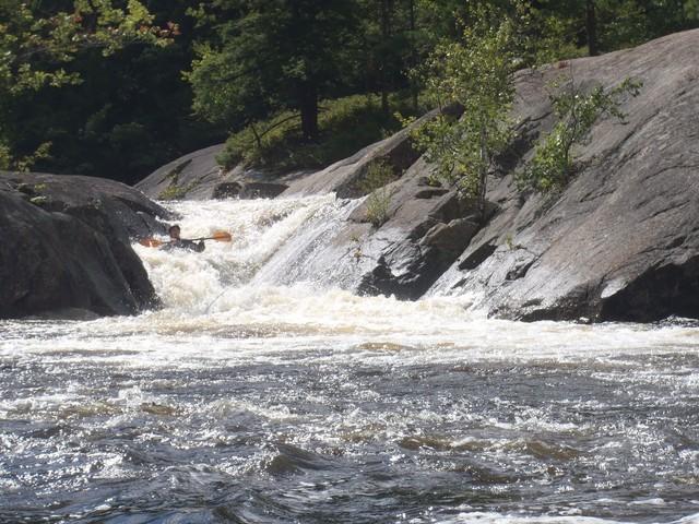 P9040059.jpg