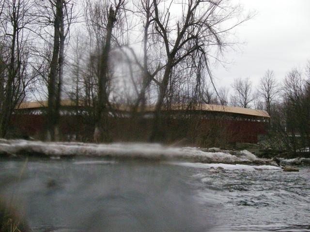 IMGP4550.JPG