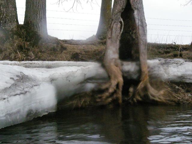 IMGP4560.JPG