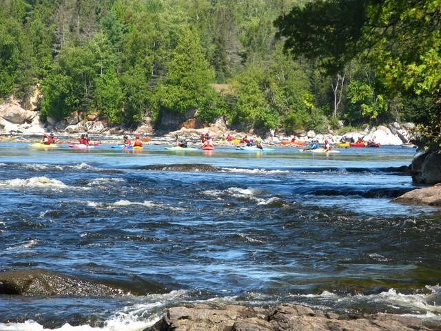 20100829_FestivaleHauteGatineau_046.JPG