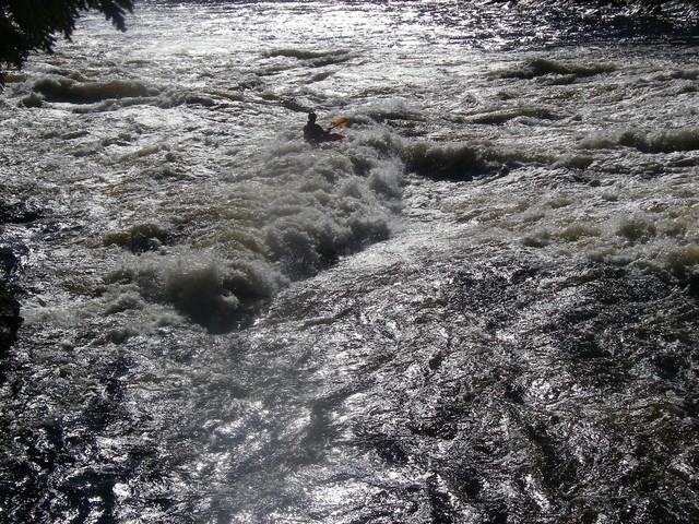 IMGP6563.JPG