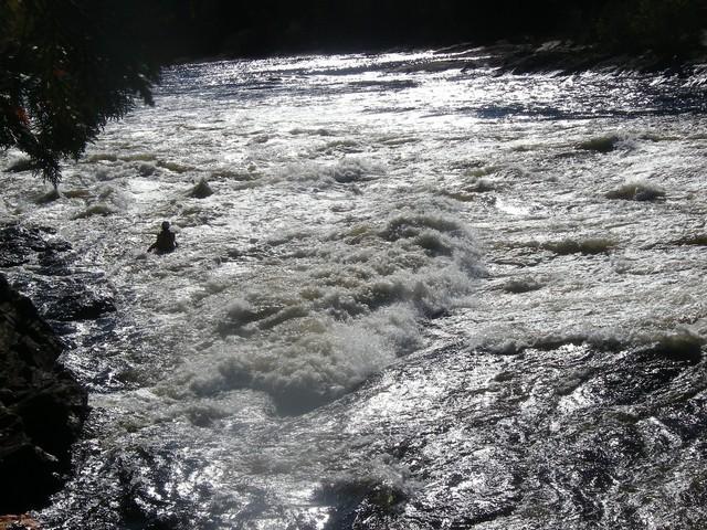 IMGP6568.JPG