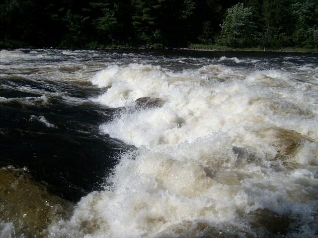 SANY3745.JPG
