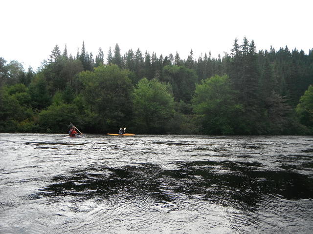 DSCF1009.JPG
