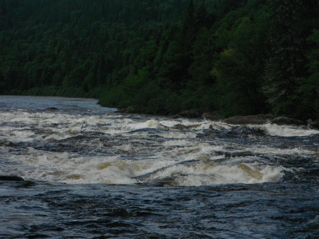 DSCF1012.JPG