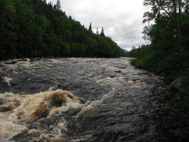 DSCF1039.JPG