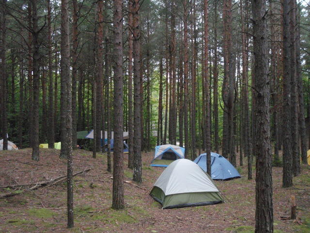 P9030003.JPG