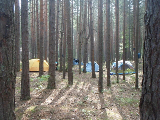 P9030306.JPG