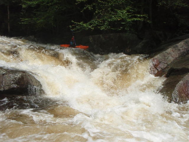 P9040436.JPG