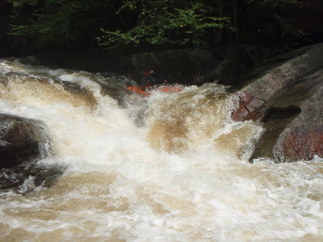 P9040439.JPG