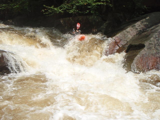 P9040458.JPG