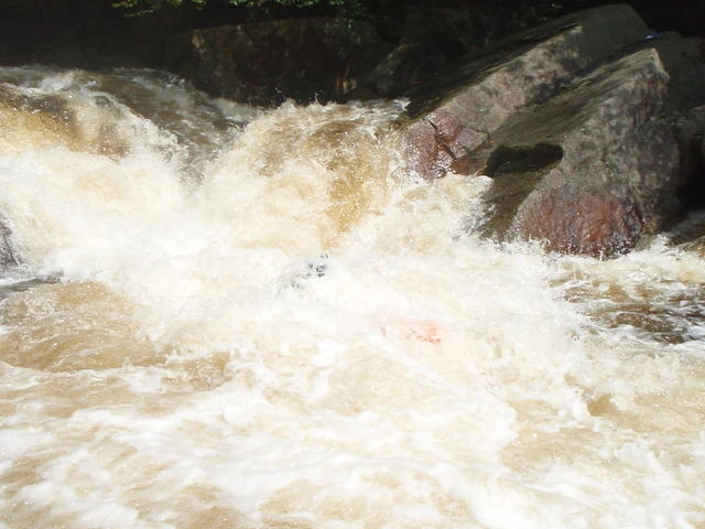 P9040463.JPG