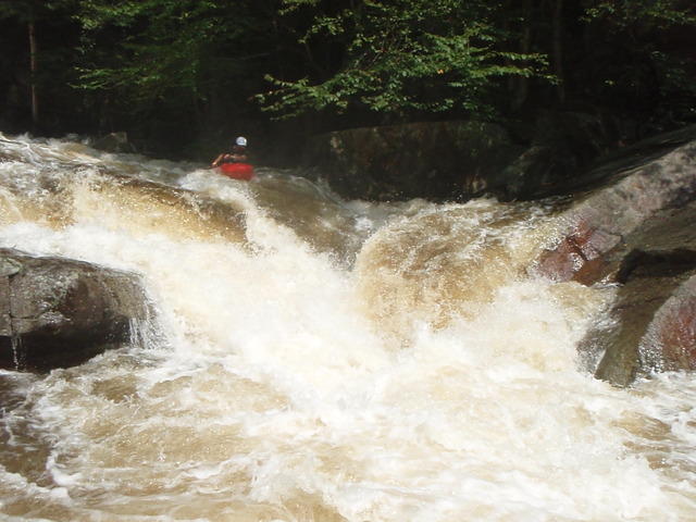 P9040471.JPG