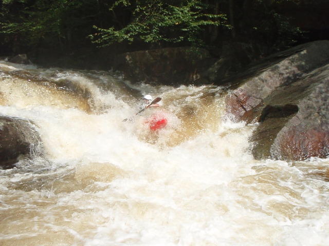 P9040477.JPG