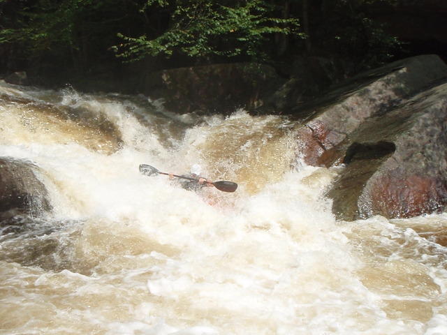 P9040478.JPG