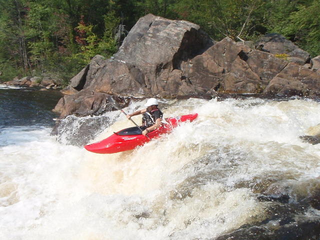 P9040647.JPG