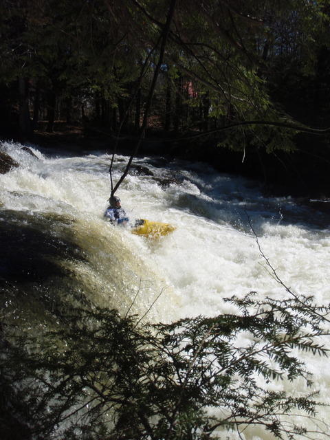 P4300053.JPG