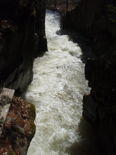 P4300062.JPG