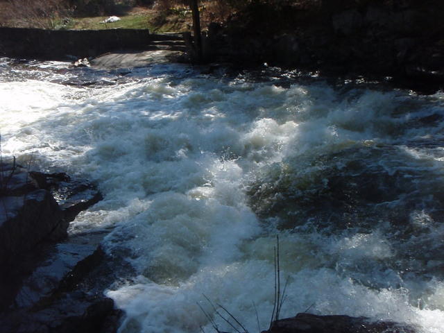 P4300290.JPG